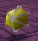 GSDD-GhoulBall.png