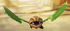 GSDD-FlutterSeed.png