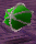 GSDD-GuardianBall.png