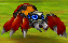 GSDD-Tarantula.png
