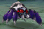 GSDD-Recluse.png